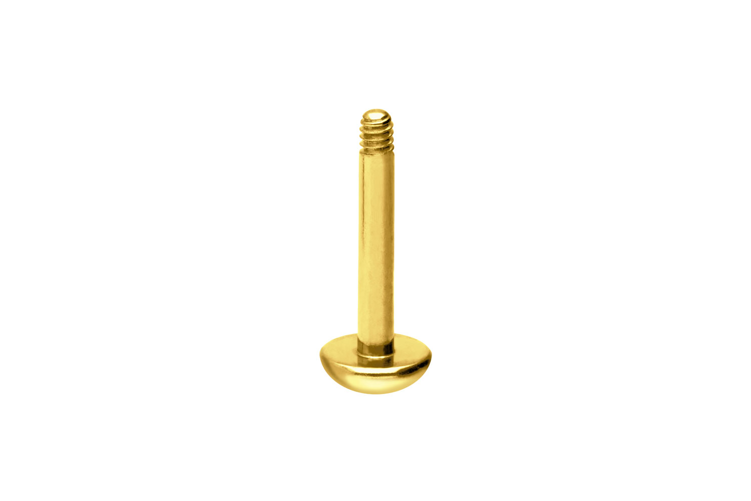 Titan Labret Piercing ohne Kugel ABGERUNDETE PLATTE